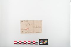 Etiketten zu Perlenkette (NHMW-PRAE-024162)